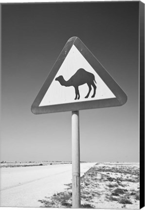 Framed Qatar, Al Zubarah. Camel Crossing Sign-Road to Al-Zubarah NW Qatar Print