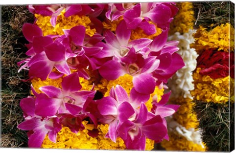 Framed Asia, Singapore. Flowers for sale Print