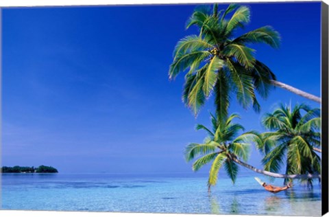 Framed Maldives, Felidhu Atoll. Man relaxing in hammock Print