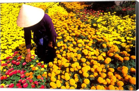 Framed Beautiful Graphic with Woman in Straw Hat and Colorful Flowers Vietnam Mekong Delta Print