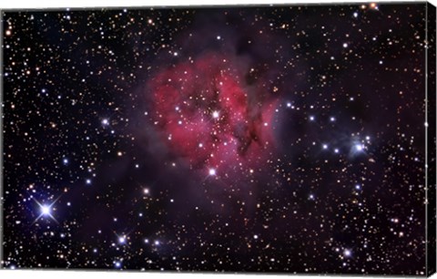 Framed Cocoon Nebula Print