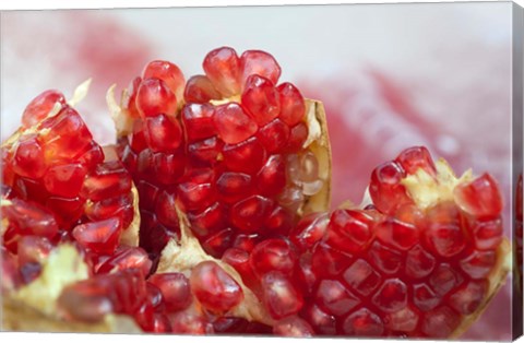 Framed Pomegranate on the street raw or made into juice, Bangkok, Thailand Print