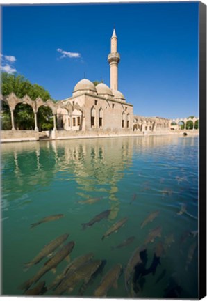 Framed Halil-ur Rahman Mosque, Pool of Abraham, Urfa, Turkey Print