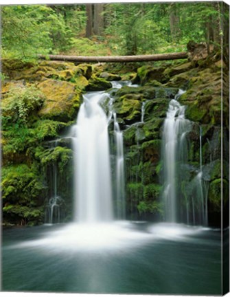 Framed View of Whitehorse Falls, Umpqua National Forest, Oregon Print