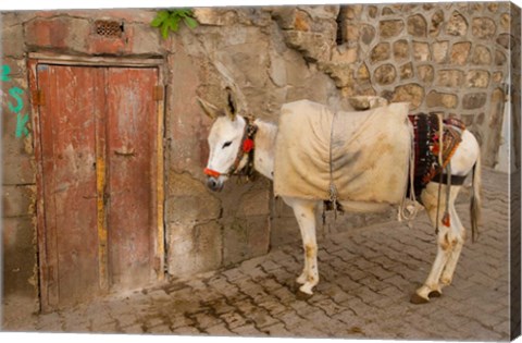 Framed Donkey and Cobbled Streets, Mardin, Turkey Print