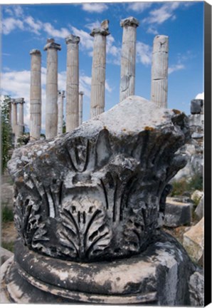 Framed Columns and Relief Sculpture, Aphrodisias, Turkey Print