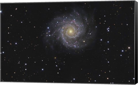 Framed Messier 74, A Spiral Galaxy in the Constellation Pisces Print