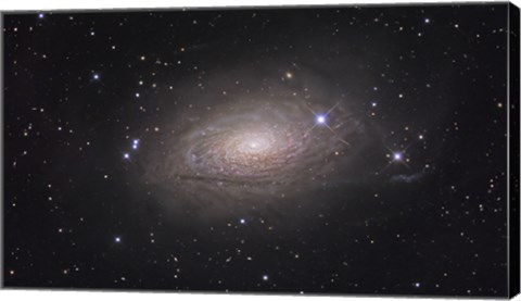 Framed Sunflower Galaxy Print