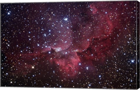 Framed Emission Nebula in the Constellation Cepheus (NGC 7380) Print