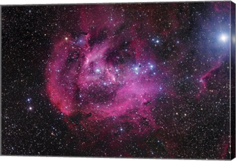 Framed Running Chicken Nebula Print