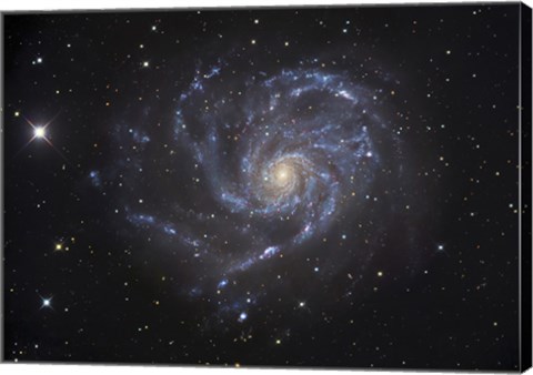 Framed Pinwheel Galaxy Print