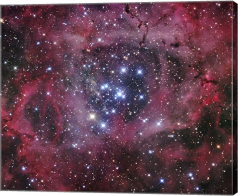 Framed Open Cluster within the Rosette Nebula (NGC 2244) Print