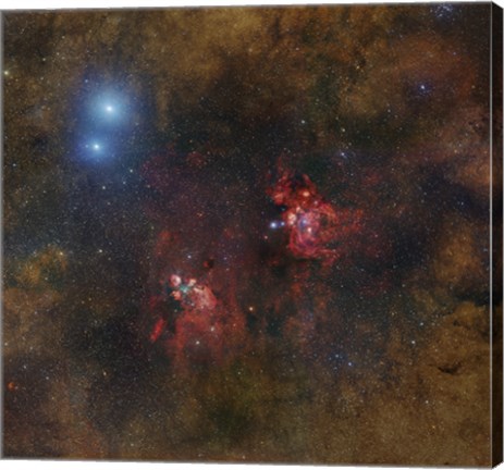 Framed Cat&#39;s Paw and Lobster Nebulae in Scorpius Print