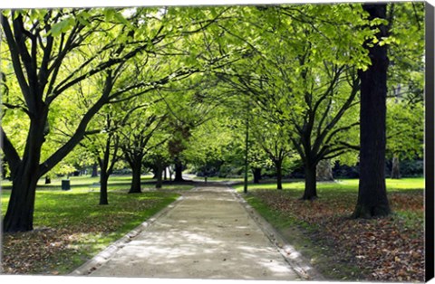 Framed Pathway and Trees, Kings Domain, Melbourne, Victoria, Australia Print