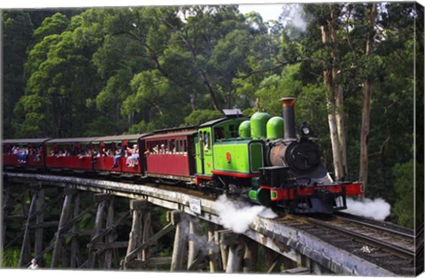 Framed Puffing Billy Steam Train, Dandenong Ranges, near Melbourne, Victoria, Australia Print