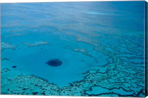 Framed Australia, Great Barrier Reef, Blue Hole Print