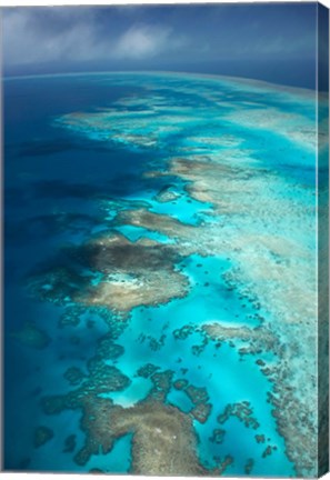Framed Arlington Reef, Great Barrier Reef Marine Park, North Queensland, Australia Print