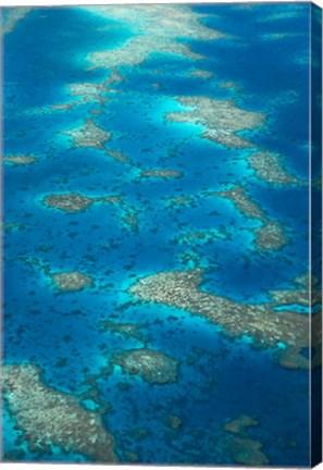Framed Undine Reef, Great Barrier Reef, Queensland, Australia Print