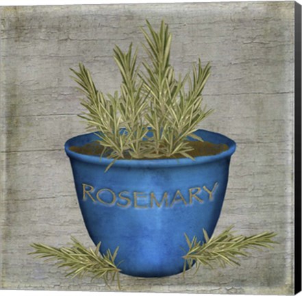 Framed Herb Rosemary Print