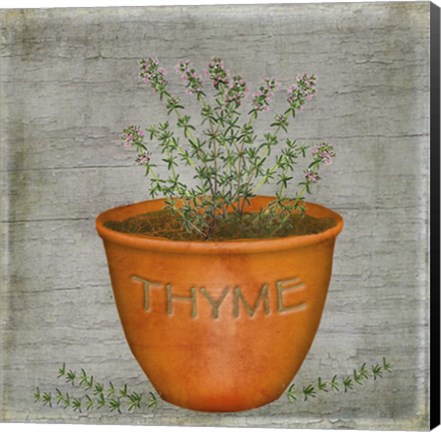 Framed Herb Thyme Print