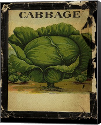 Framed Vintage Cabbage Print