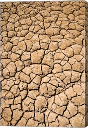 Framed Dry Irrigation Pond, Strzelecki Track, Outback, South Australia, Australia Print
