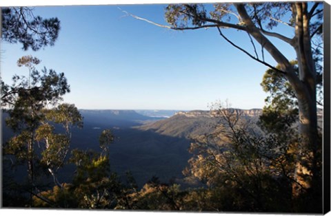 Framed Australia, NSW, Blue Mountains, Jamison Valley Print