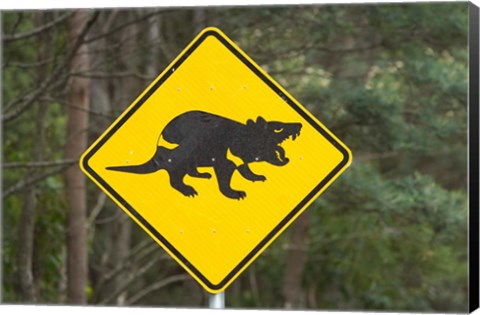 Framed Tasmanian Devil warning sign, Tasman Peninsula, Australia Print