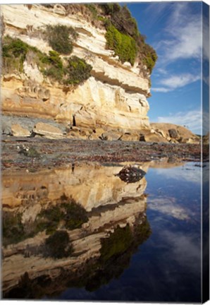 Framed Cliffs of Fossil Bluff, Wynyard, NW Tasmania, Australia Print