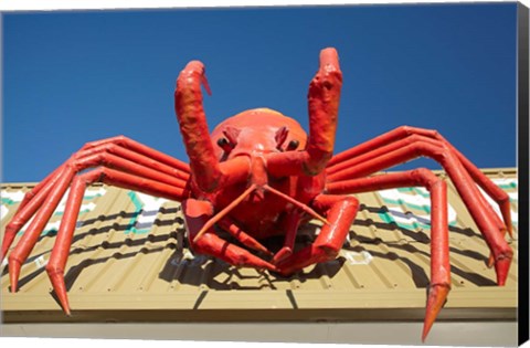 Framed Crustacean, Giant Lobster, Stanley, Tasmania, Australia Print