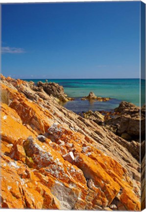 Framed Orange Lichen, Green Point, Ann Bay, Australia Print