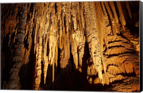 Framed Stalactites, Newdegate Cave, Hastings Caves, Australia Print