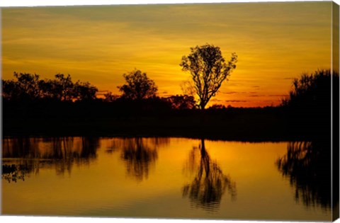 Framed Water Billabong, Kakadu NP, Northern Territory, Australia Print