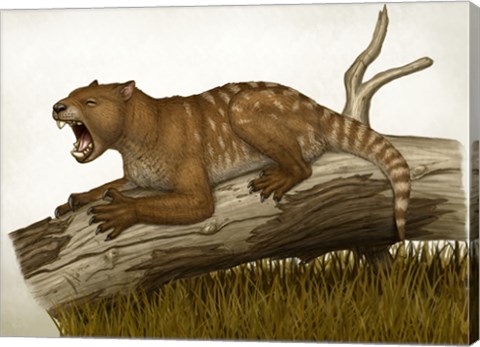 Framed Thylacoleo Carnifex Print