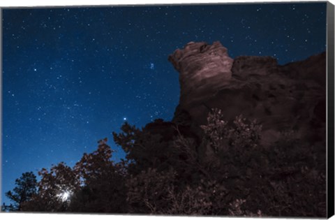 Framed Moon Rises through Trees in Oklahoma Print