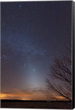 Framed Zodiacal Light and Milky Way over the Texas Plains Print