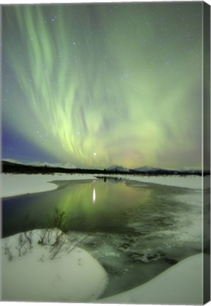 Framed Aurora Borealis over a creek, Yukon, Canada Print