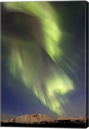 Framed Aurora Borealis over Emerald Lake, Canada Print