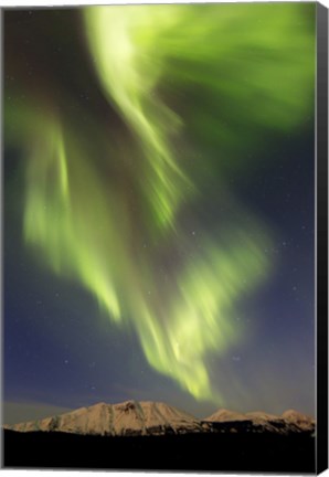 Framed Aurora Borealis over Emerald Lake, Carcross, Yukon, Canada Print