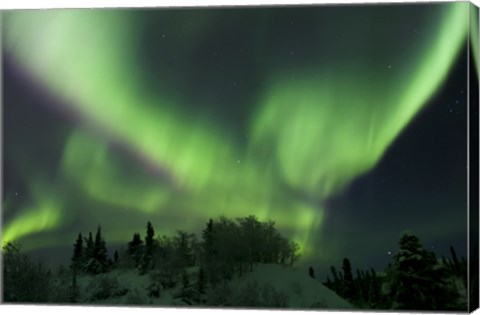 Framed Aurora Borealis Takes Flight Print