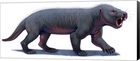 Framed Kayentatherium, a Mammal-like Tritylodont of the Jurassic Period Print