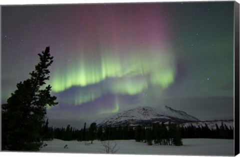 Framed Red and Green Aurora Borealis over Carcross Desert, Canada Print