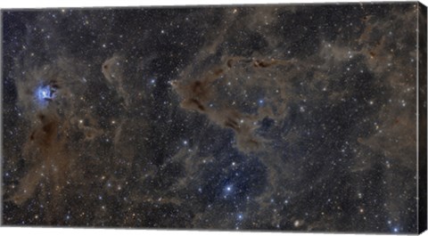 Framed Iris Nebula and Dusty Region in Cepheus constellation Print