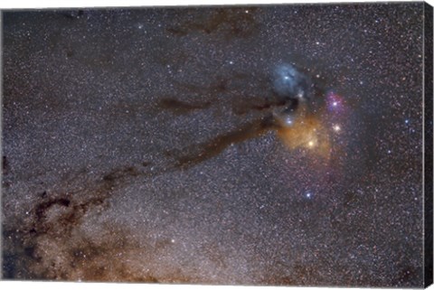 Framed Rho Ophiuchus Area in Sagittarius Print