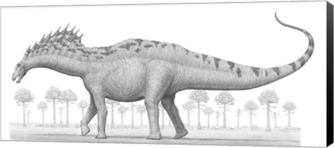 Framed Amargasaurus Cazaui Dinosaur from the Early Cretaceous Period Print