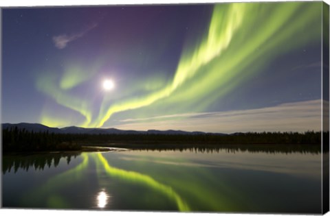 Framed Aurora Borealis and Full Moon over the Yukon River, Canada Print