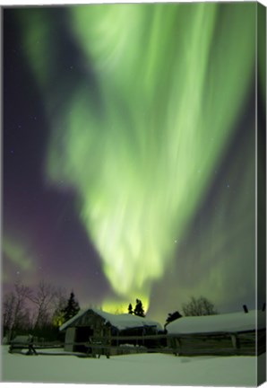 Framed Aurora Borealis and the Big Dipper Whitehorse, Yukon, Canada Print