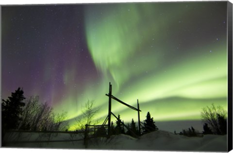 Framed Aurora Borealis over a Ranch, Whitehorse, Yukon, Canada Print