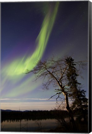 Framed Aurora Borealis over the Yukon River, Whitehorse, Canada Print