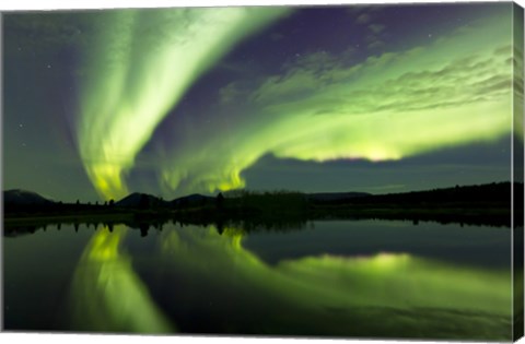 Framed Aurora Borealis Whitehorse, Yukon, Canada Print